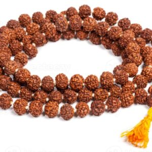 Hindu/Buddhist mala made with rudraksha beads
