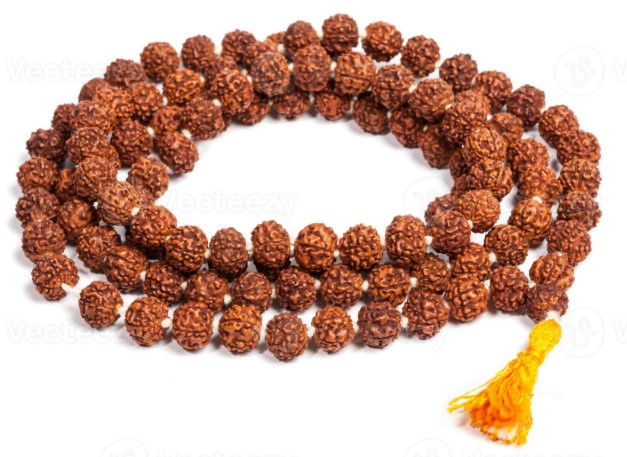 Rudraksha mala beads used in Hindu and Buddhist meditation for mantra repetition